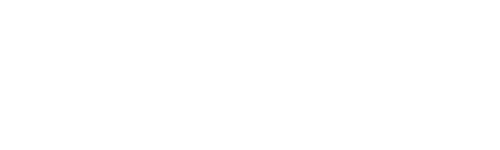 Engimize